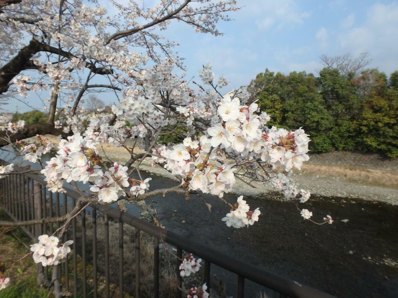 Kyo No Yado Nishioji Hotel Kyoto Ngoại thất bức ảnh